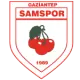 Samspor