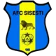 CS FC Șișești U19
