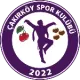 Çakırköyspor