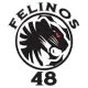 Felinos 48 AC