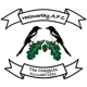 Holsworthy AFC