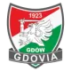 Gdovia Gdów