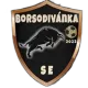 Borsodivánka SE