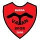 Bursa Vatanspor