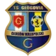 TS Głogovia Głogów Małopolski