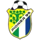 KS Pionier 95 Borne Sulinowo