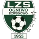 LZS Ogniwo Dzwonowo