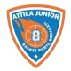 Attila Jr. Porto Recanati