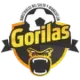 Gorilas de Juanacatlan