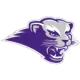 Southwest Baptist Bearcats