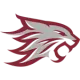 Cal State Chico Wildcats