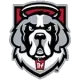D'Youville Saints
