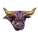 Minnesota State Mankato Mavericks
