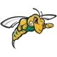 Black Hills State Yellow Jackets