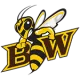 Baldwin Wallace Yellow Jackets