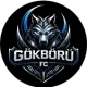 Gökbörü FC