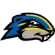 Goucher Gophers