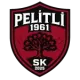 Pelitli 1961 SK