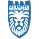 Calcio Gregoriana