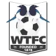 Wimborne Town Reserves