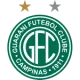 Guarani U11