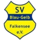 SV Blau-Gelb Falkensee II