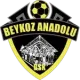 Beykoz Anadolu Spor U19