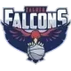 ŽKK Falcons U13