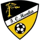 FC Honka/Puumat