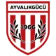 Ayvalıkgücü Belediyespor U16