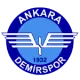 Ankara Demirspor U14