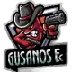 Gusanos