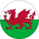 Wales U15