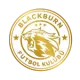 Blackburn FK