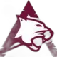 Assiniboine Cougars