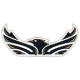 Conestoga Condors
