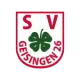 SV Geisingen