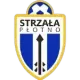 Strzała Płotno