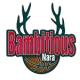 Bambitious Nara