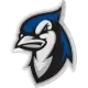 Elizabethtown Blue Jays