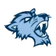 Baruch Bearcats