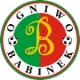 KS Ogniwo II Babinek