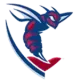 Shenandoah Hornets