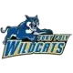 SUNY Poly Wildcats