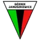Górnik Januszkowice