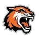 Rochester Institute Tigers