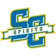 Salem Spirits