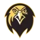 Pfeiffer Falcons