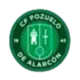 C.F. Pozuelo de Alarcón B