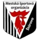 MŠO Štúrovo U19
